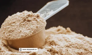 How the Whey Protein is Made?